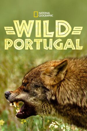 Wild Portugal filmini full izle