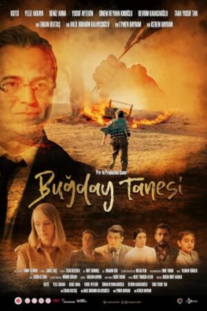 Buğday Tanesi izle